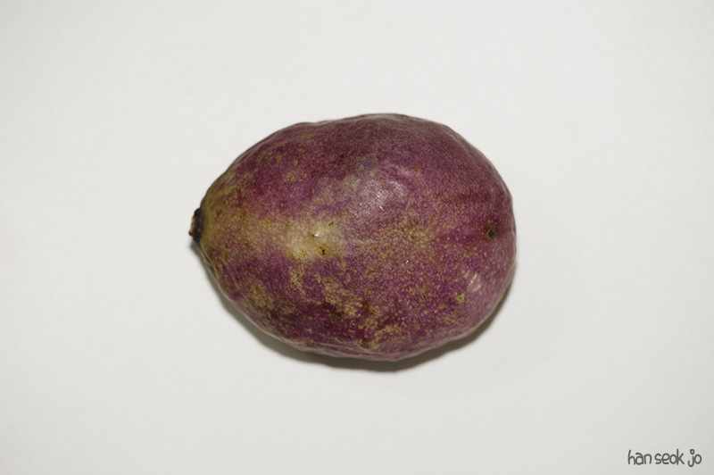 HSJ_5315.jpg