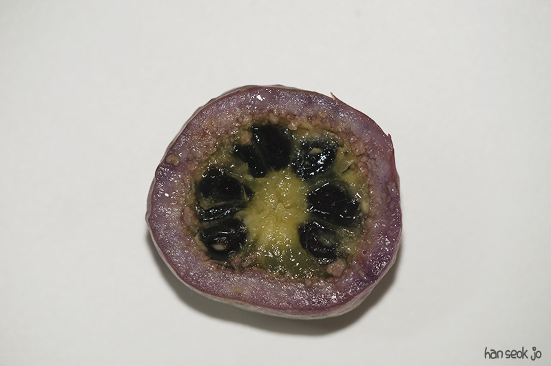 HSJ_5317.jpg