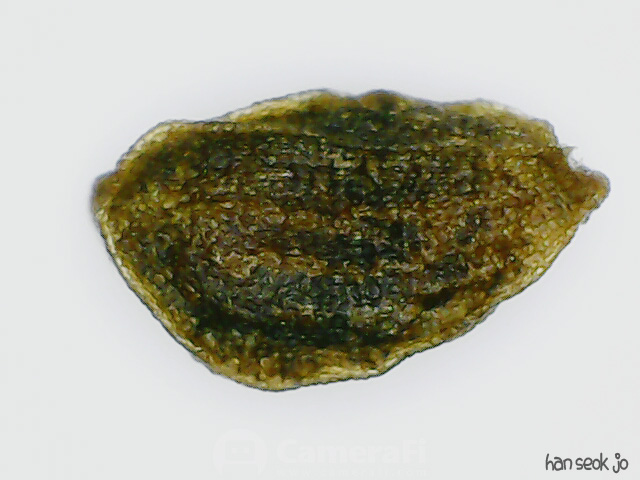 214153.jpg