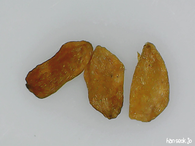 201350.jpg