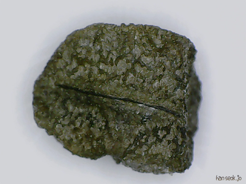 183823.jpg