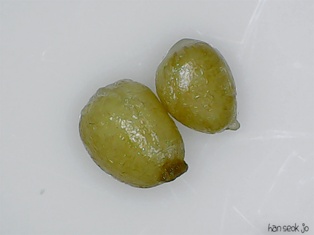 105445.jpg