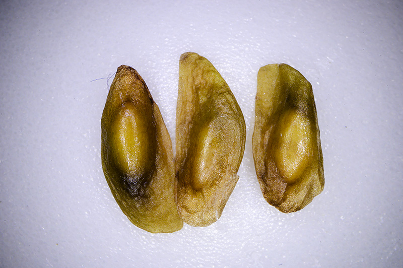 DSC_4645.jpg