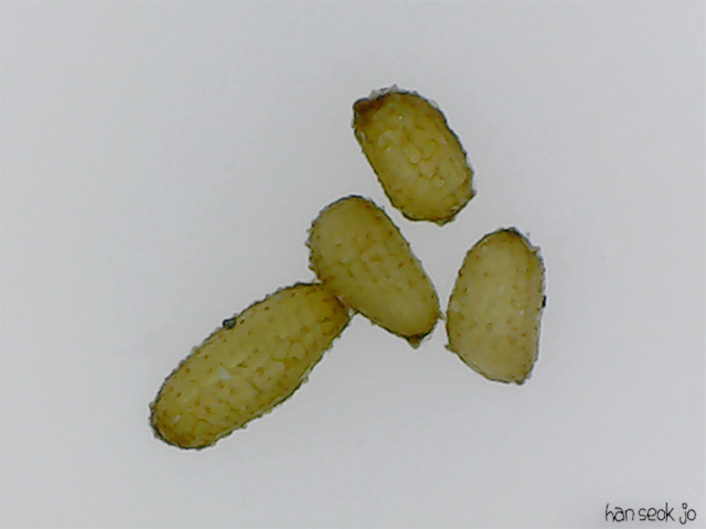230733.jpg