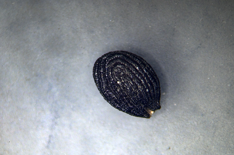 DSC_1243.jpg