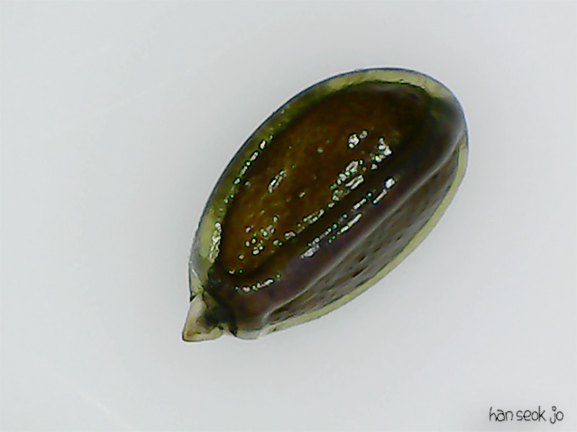 103011.jpg