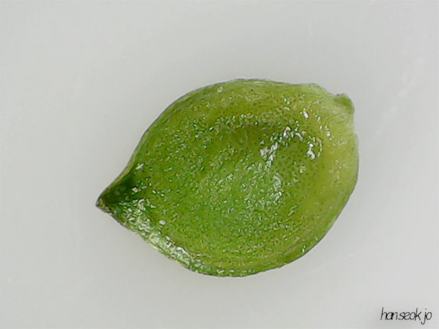 210533.jpg