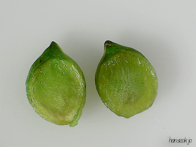 210354.jpg