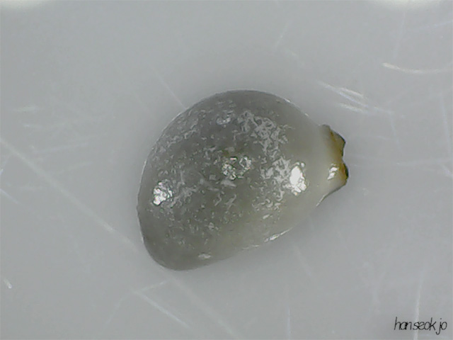 201226.jpg