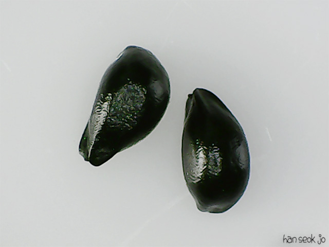 215904.jpg