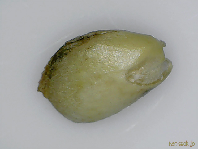 161511.jpg