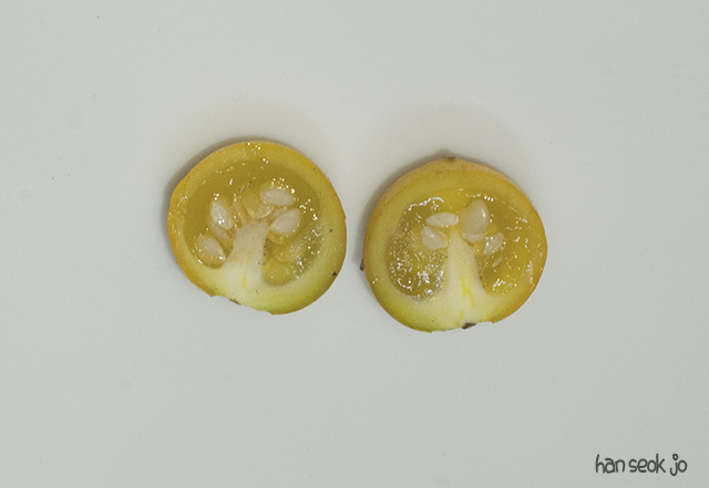 HSJ_5332.jpg
