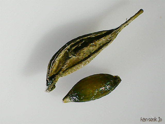192719.jpg