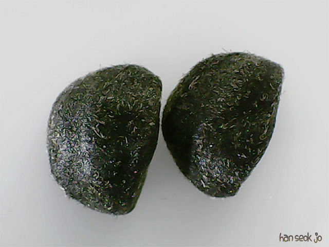 212357.jpg