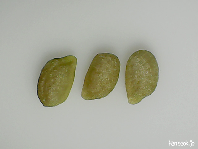 220355.jpg