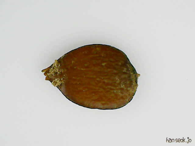 094328.jpg
