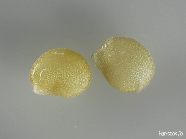 095038.jpg