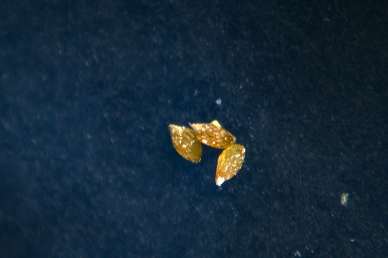 DSC_2693.jpg