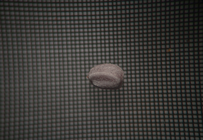 DSC_1061.jpg