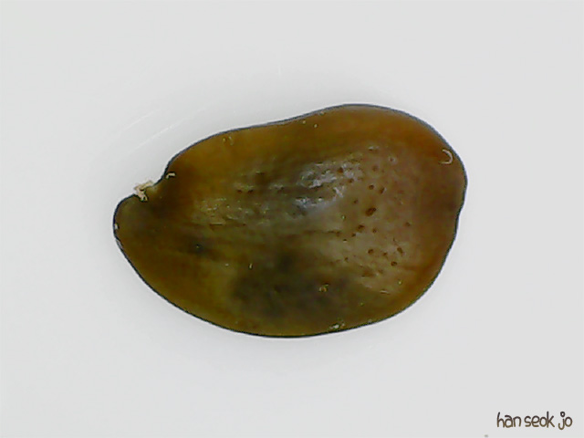 084139.jpg