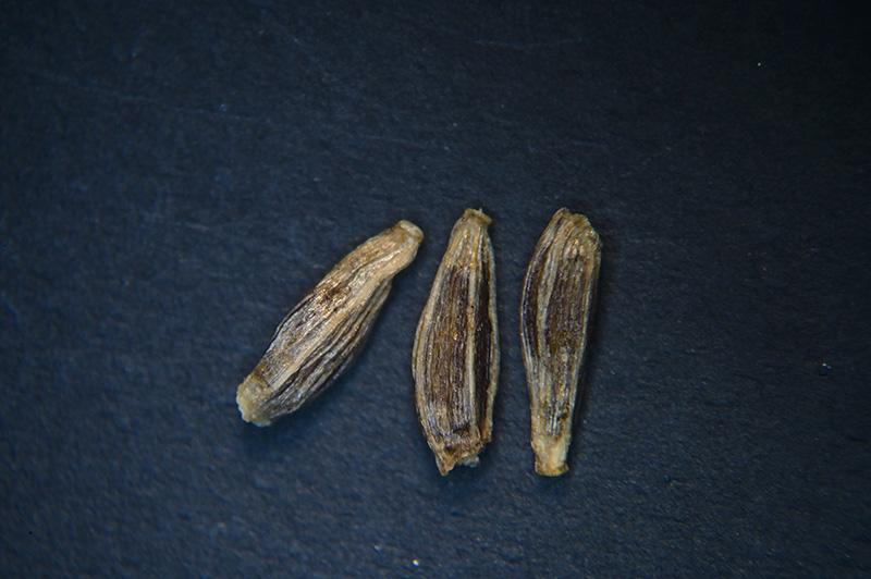 DSC_1094.jpg