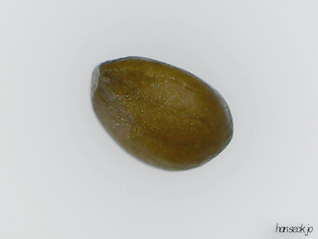 174805.jpg