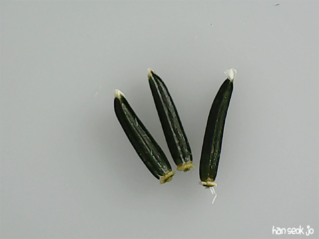 090755.jpg