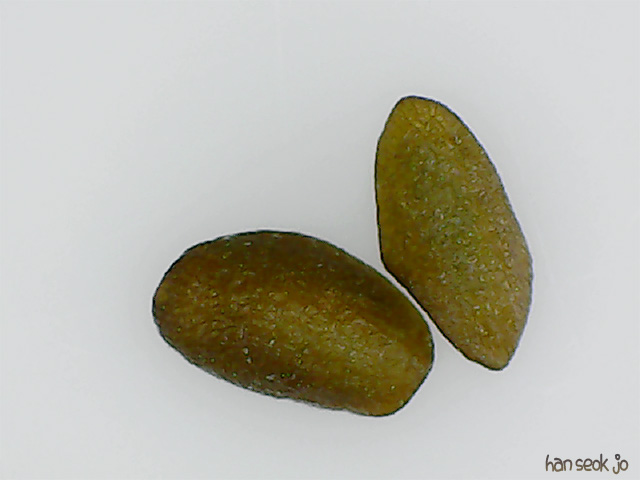085401.jpg