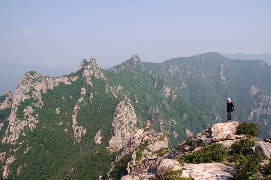DSC_2411.jpg