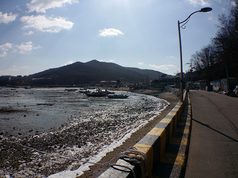 20170210_123050.jpg