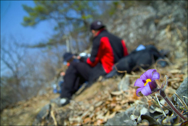 DSCF2842.jpg