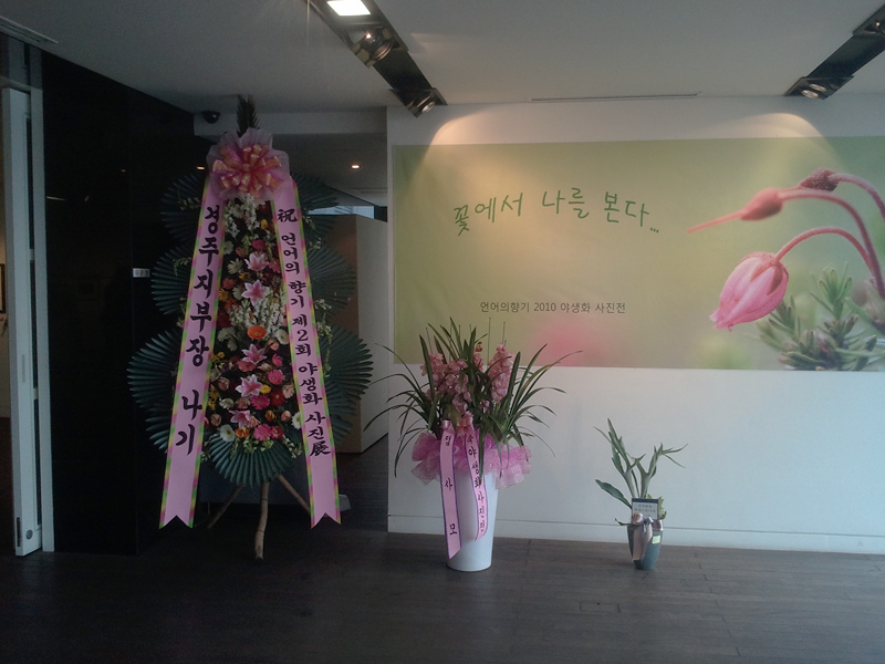 2010-12-19 13.01.22.jpg
