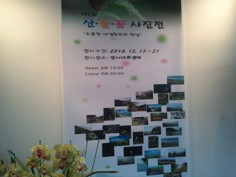 2010-12-19 15.40.12.jpg