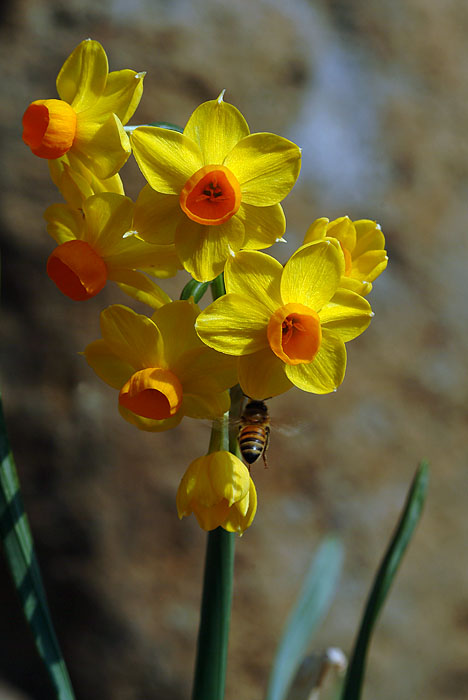 dscf4584.jpg