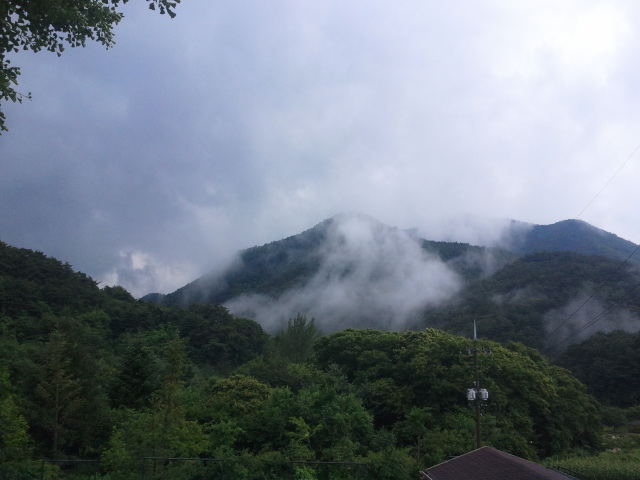 2011-07-08.jpg