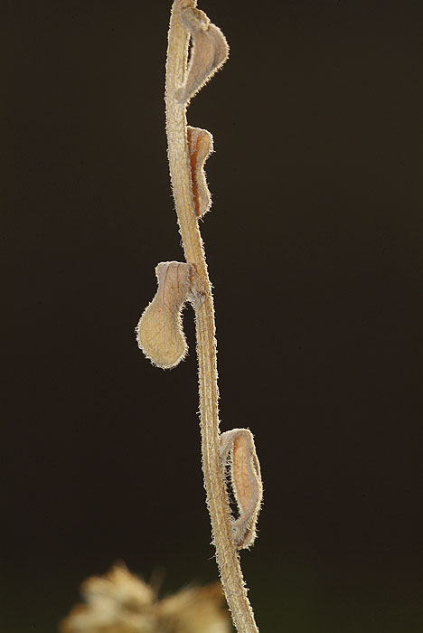 _DSF3208.jpg