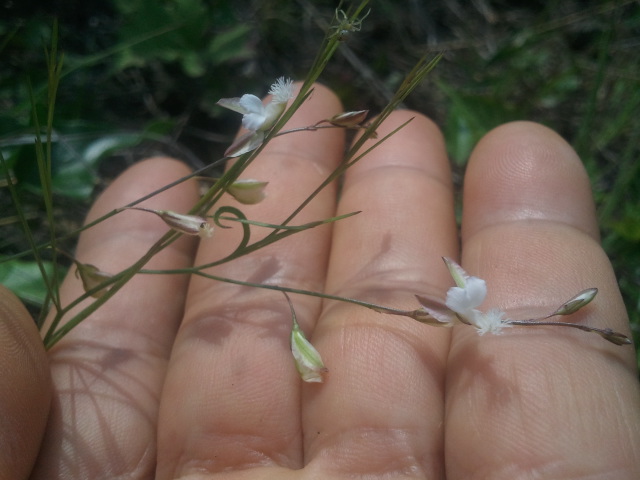 2012-05-31.jpg