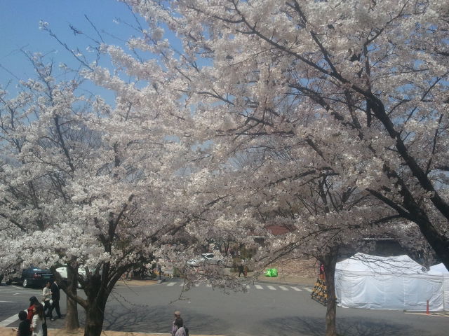 2012-04-17 12.15.55.jpg