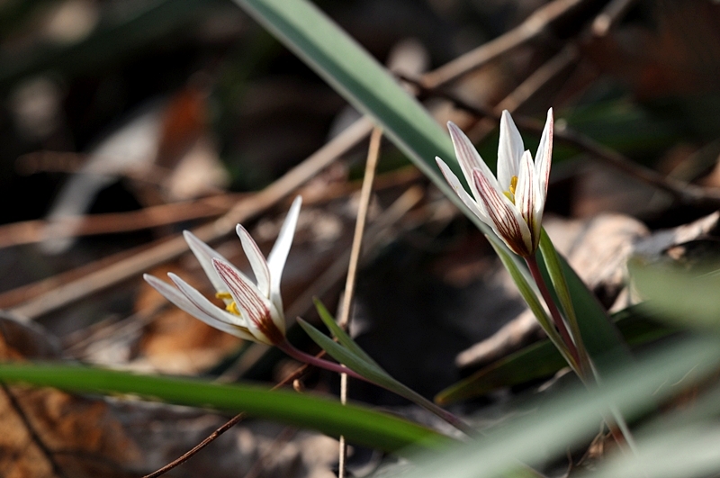 DSC_1685_800.jpg