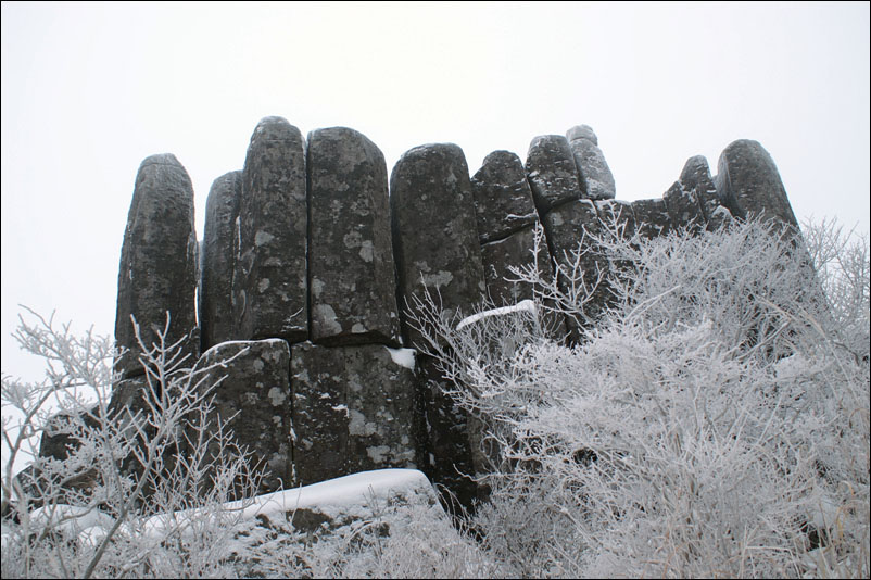 PICT9416.jpg