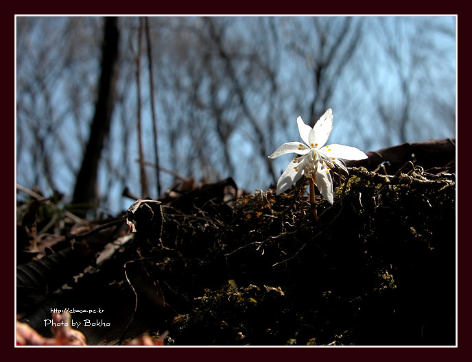 DSCN0659.jpg