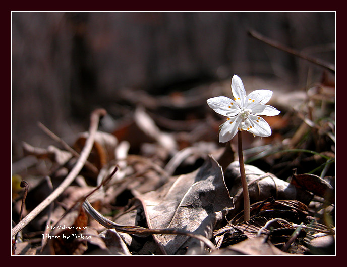 DSCN0685.jpg