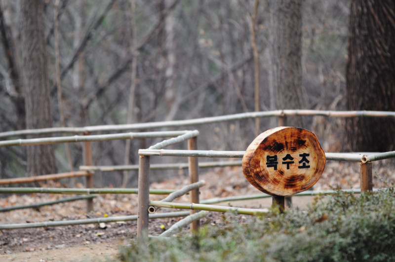 DSC_9940_800.jpg