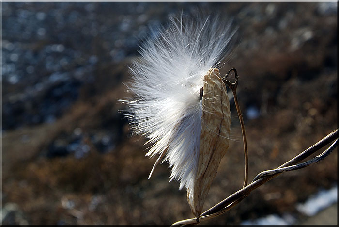 20051210_DSF6836.jpg