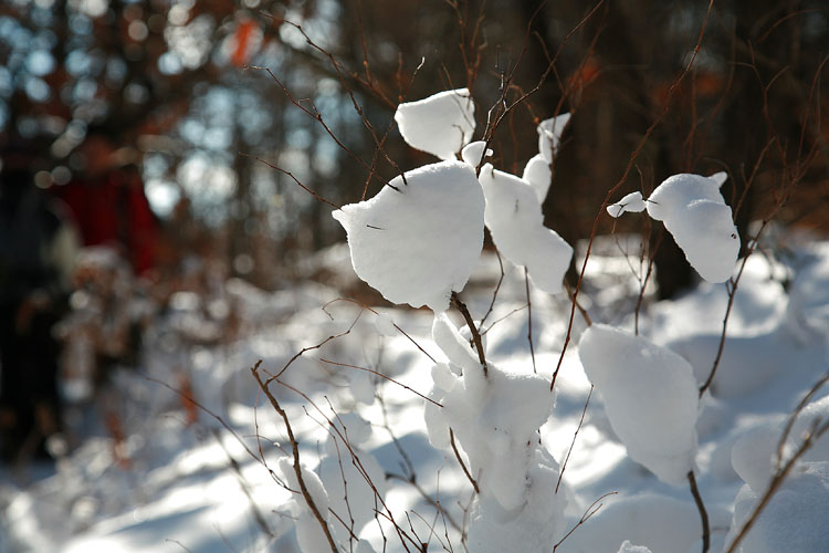 051218_081.jpg