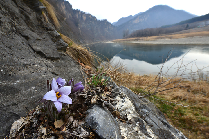 JGD_0320-720.jpg