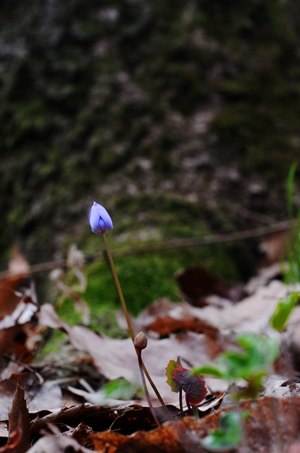 DSC_1660_640h.jpg
