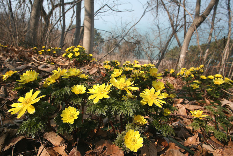 070313, pd 027.jpg