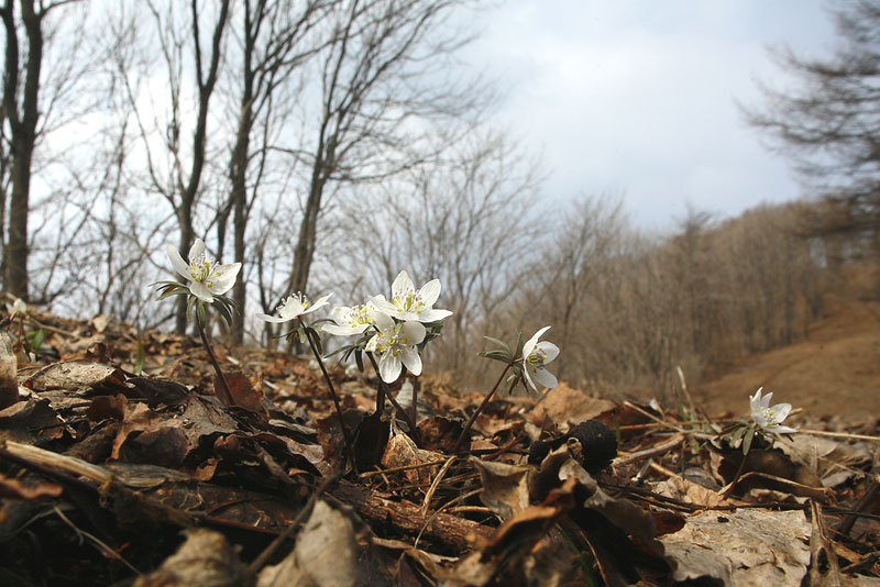070316, yim 034.jpg