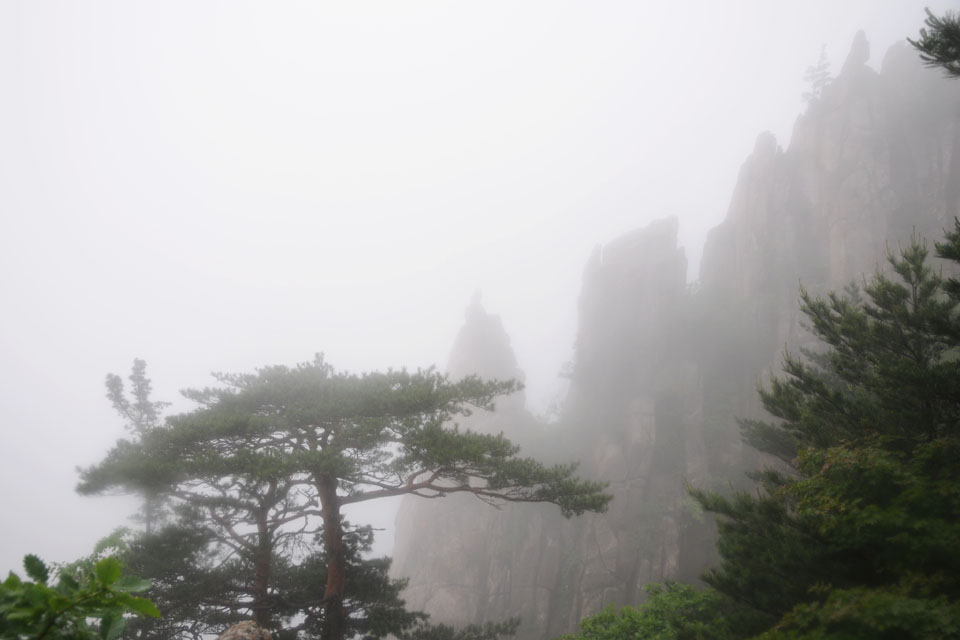 DSC_3931_960.jpg
